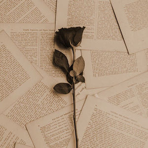 Meet your Posher, Galilea